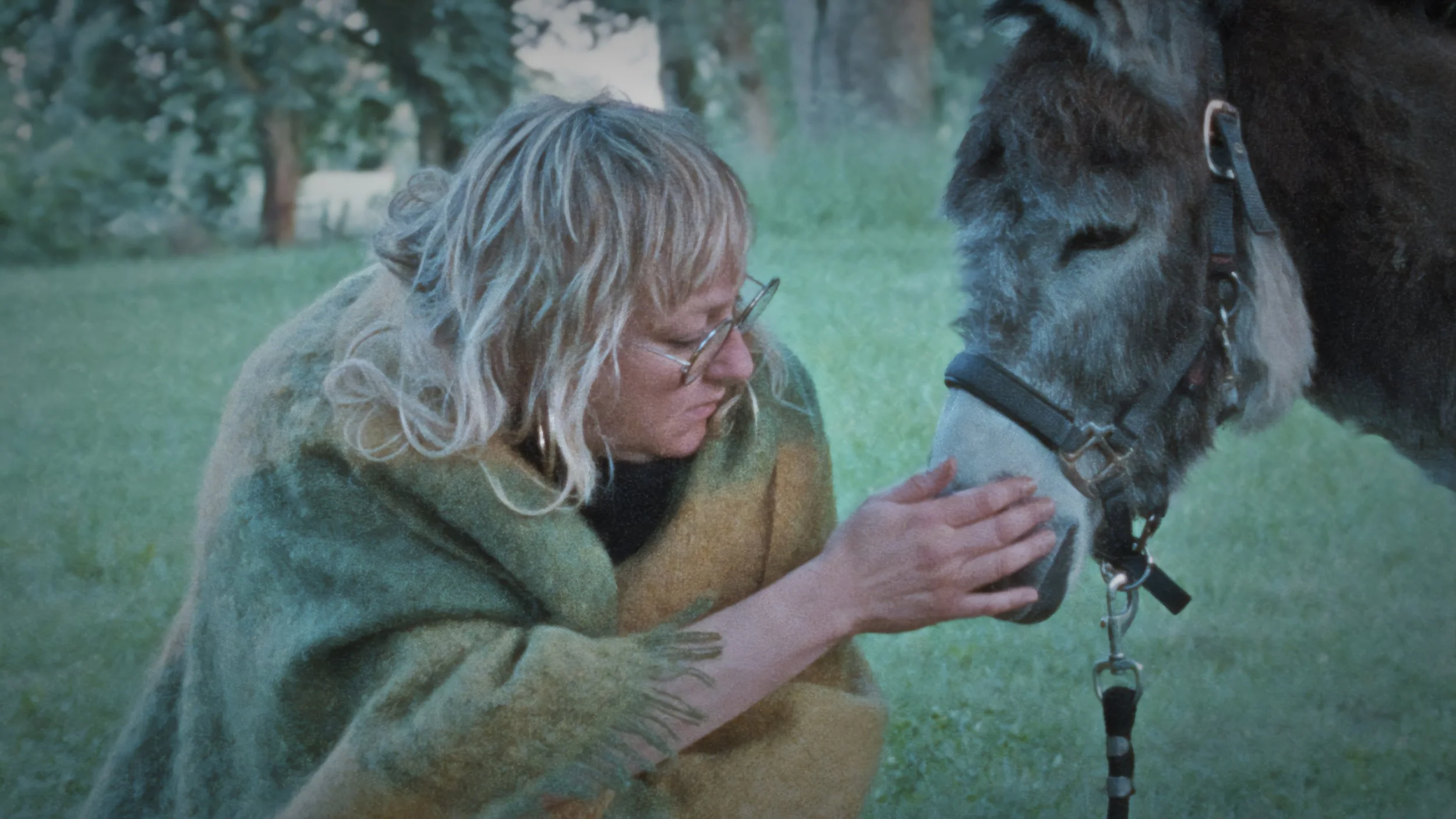 Donkey Days_still2.jpg