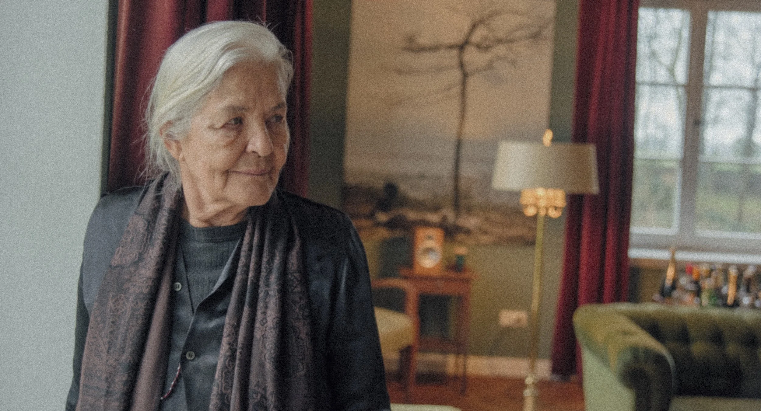 Donkey Days_still5.jpg