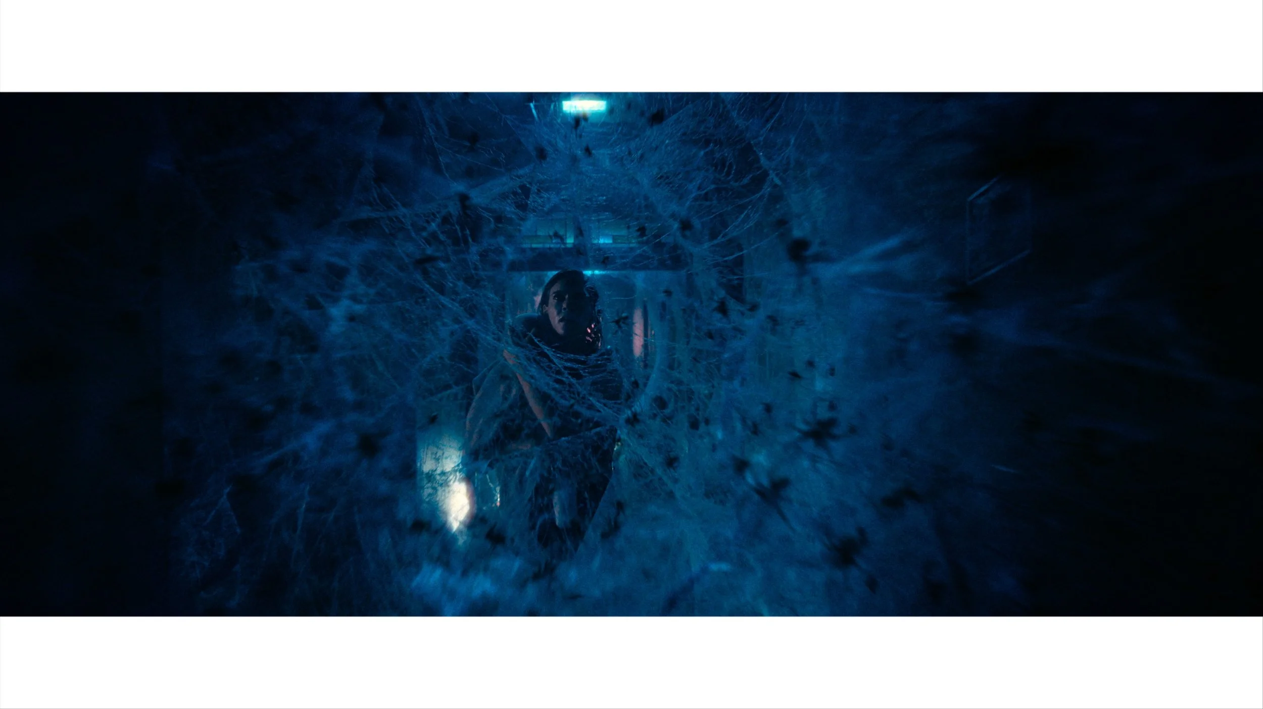Crawlers-6.jpeg