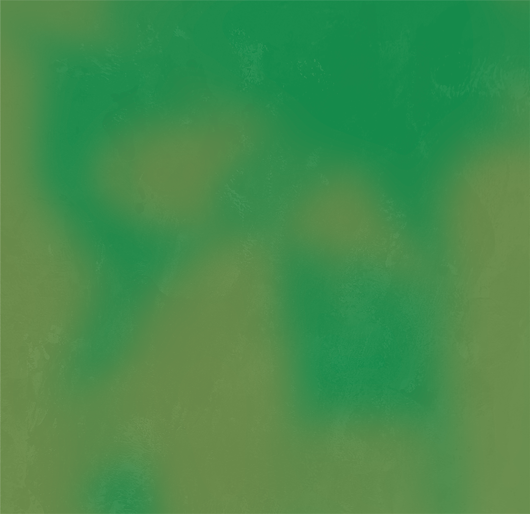 Green bg.png