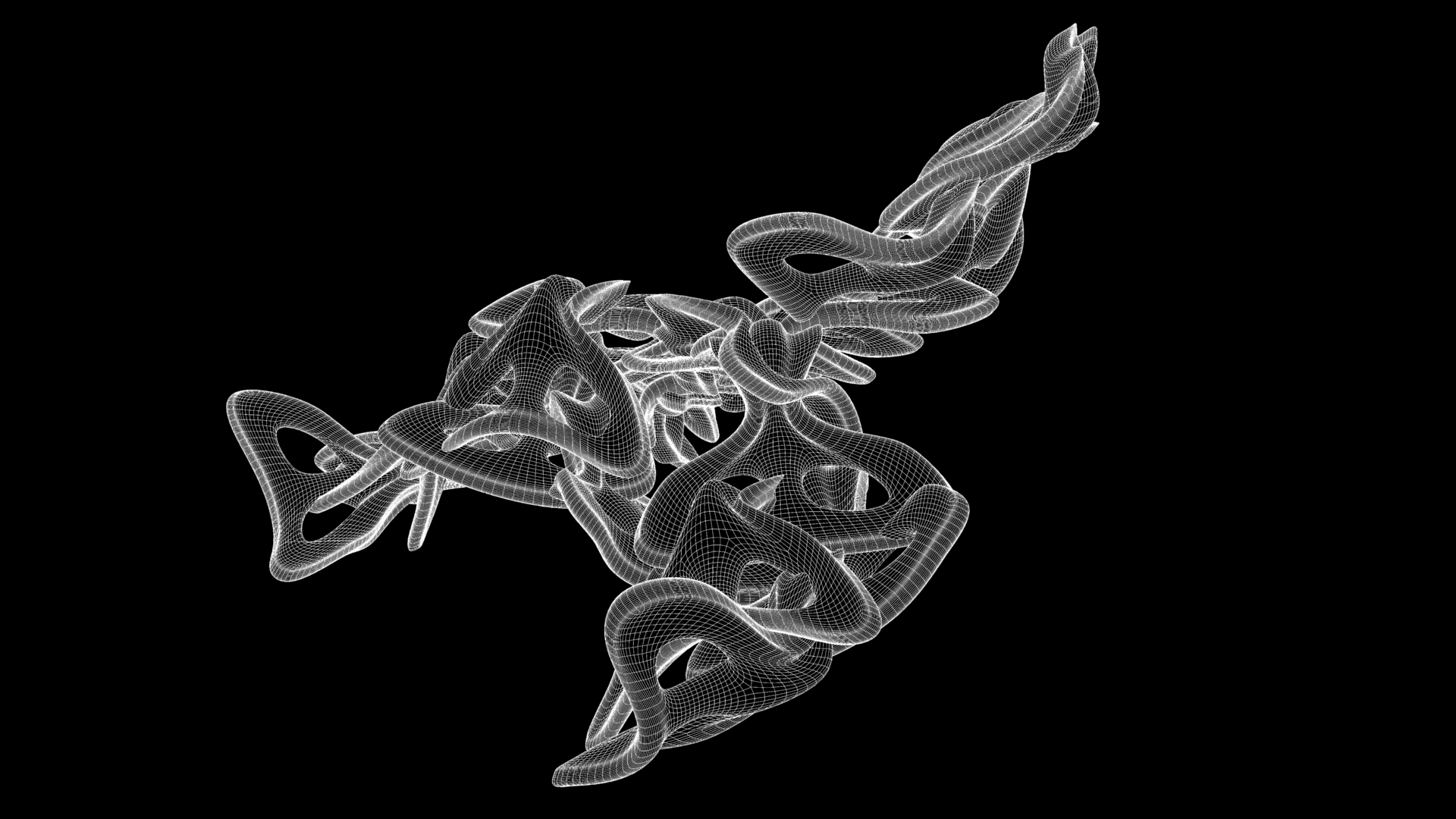 fluid full contours.jpg