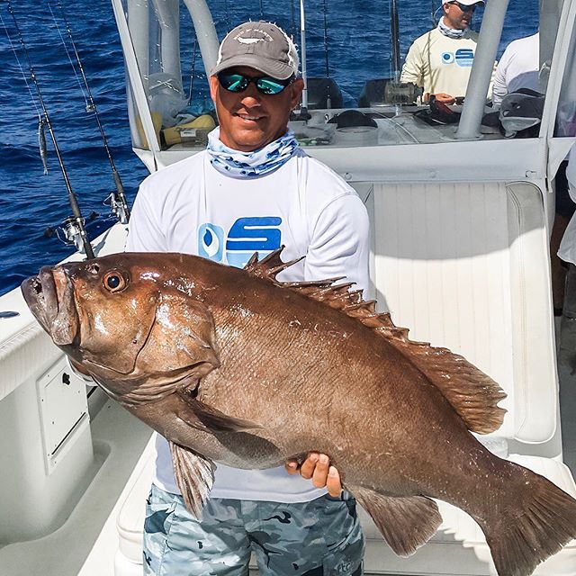 Nice snowy grouper coming out of Marathon. What is at the end of your line this weekend? Stop Fishing, Start Catching.