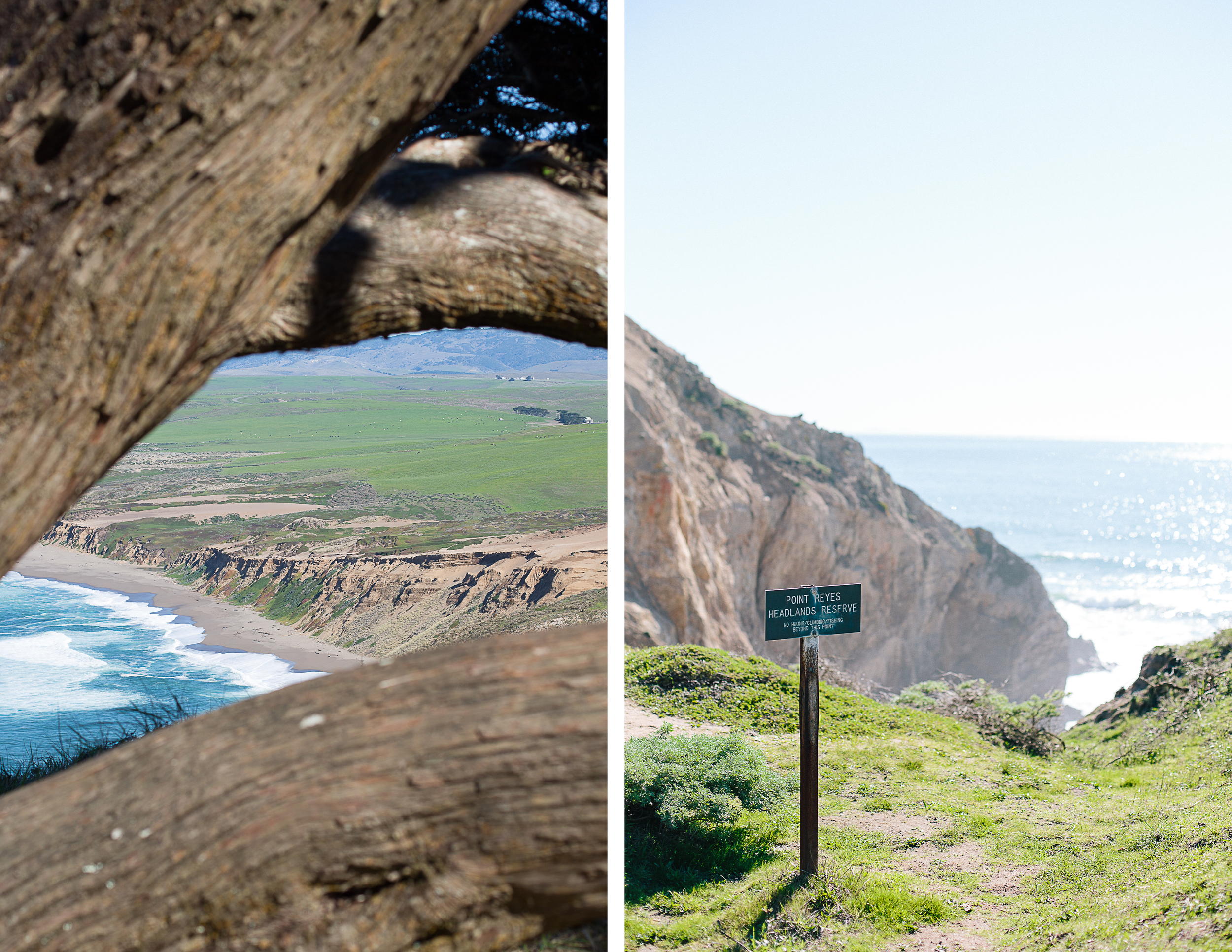 Point Reyes_8.jpg