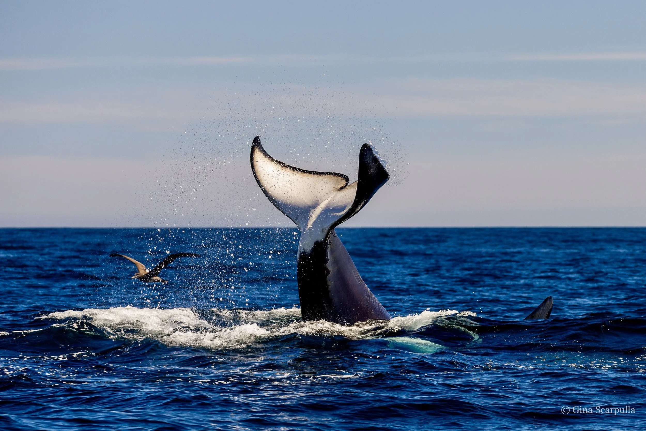 20260228-IMG_5380 2.jpg