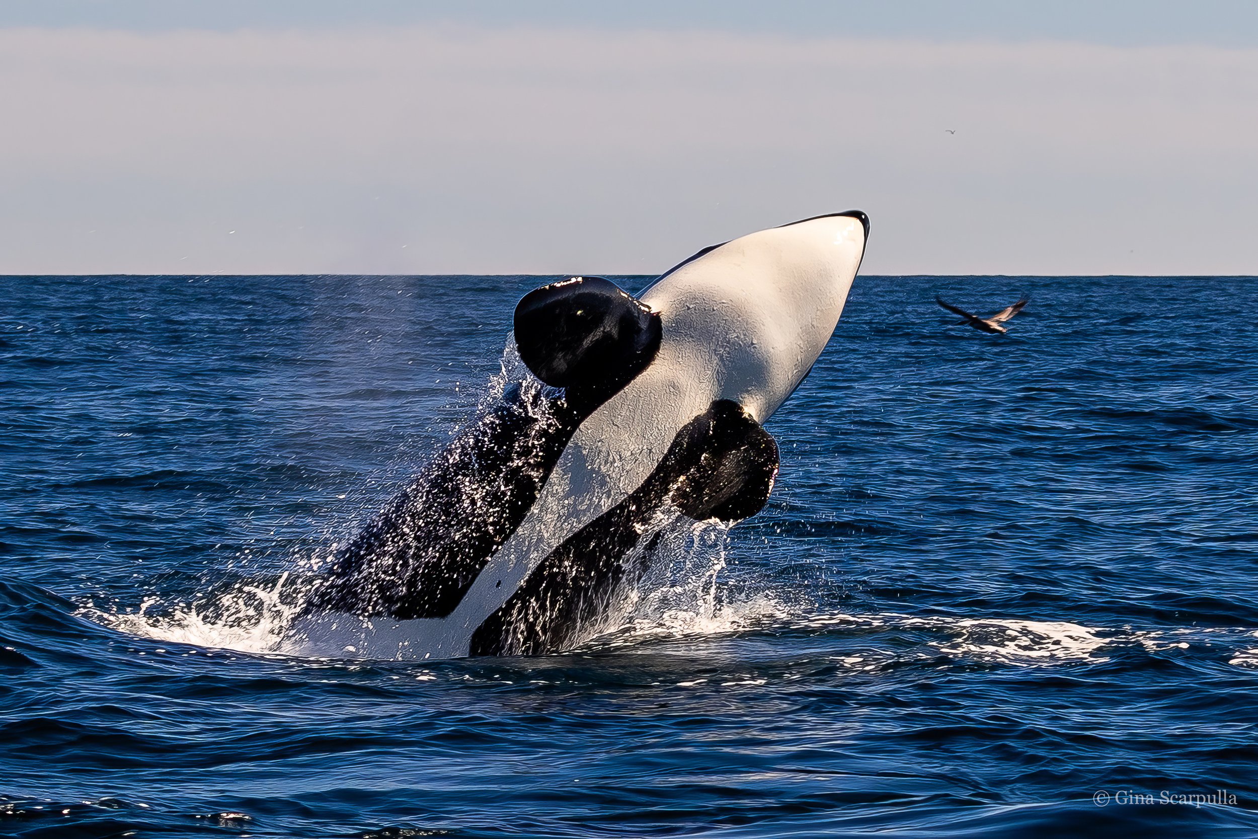 20260228-IMG_4917 2.JPG