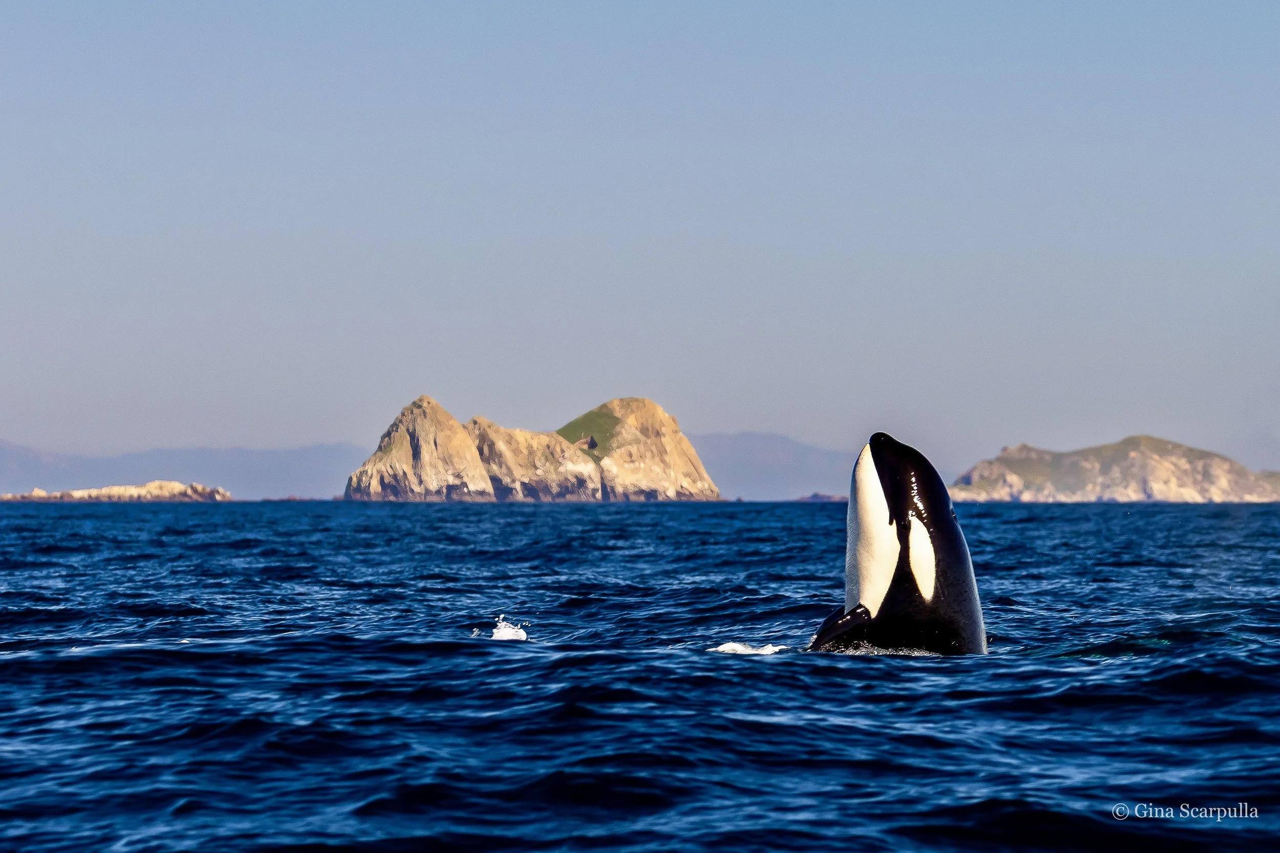 20260228-IMG_5711 2.jpg