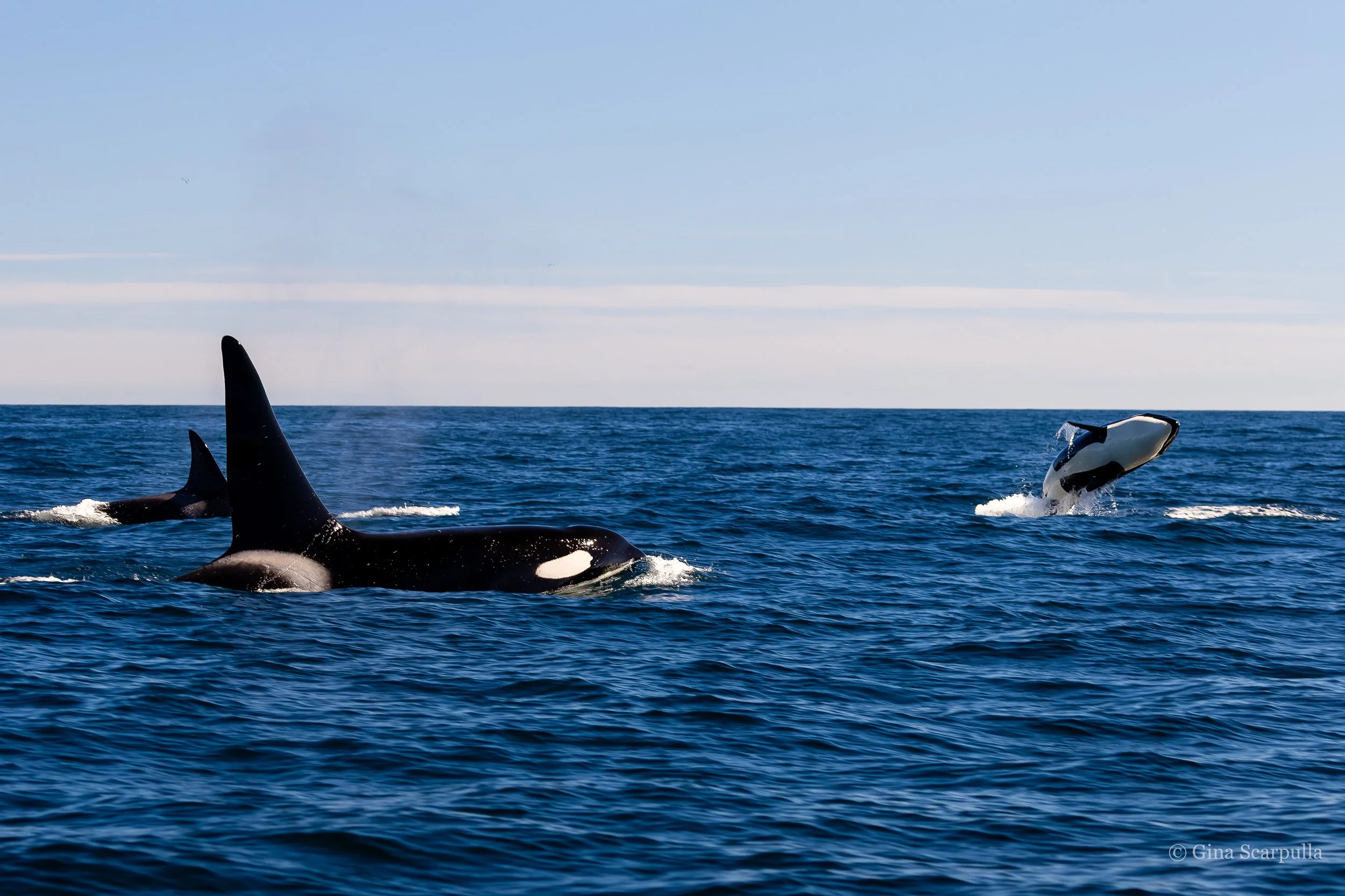 20260228-IMG_4949 2.JPG