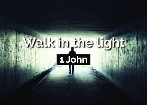 Walk in the Light NEW -Front 1-01.jpg
