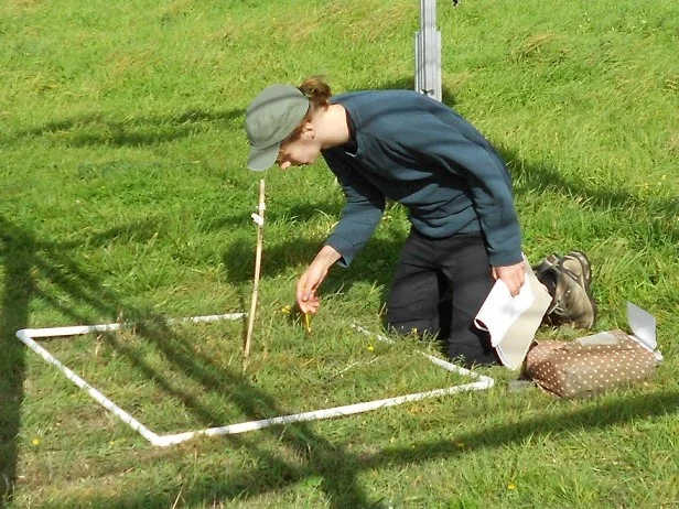 DSCN0242.jpg