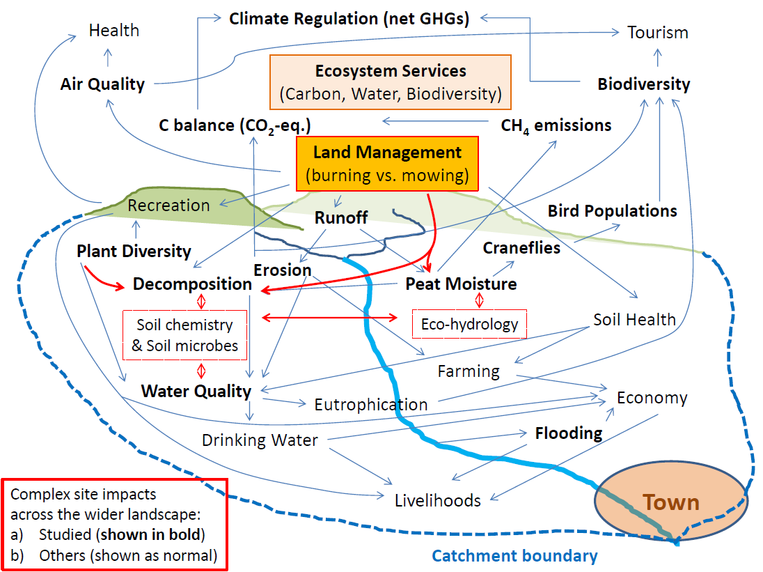 Schematic network of the main linkages between management impacts on plant-soil-water processes and associated key ecosystem services aspects (related to carbon, CO2-equivalents (CO2-eq), greenhouse gas emissions (GHG) water and biodiversity) across a generic catchment area containing upland areas with blanket bog. Processes and parameters investigated in this project are shown in bold, dashed red line outlines represent identified important but so far understudied processes (i.e. soil chemistry, soil microbes and eco-hydrology) linking key aspects. Note that the impacts are reaching far beyond the upland area with indirect effects on livelihoods in cities connected by water, food and economy.