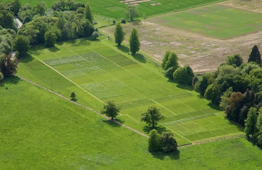 Image courtesy of Rothamsted Resarch.jpg