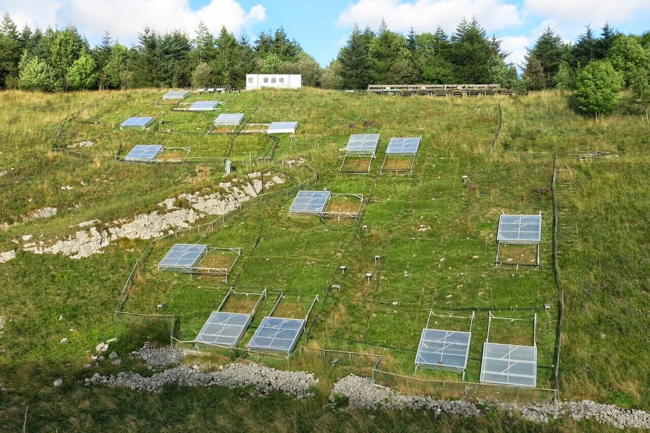 Distance Photo Whole Site.jpg