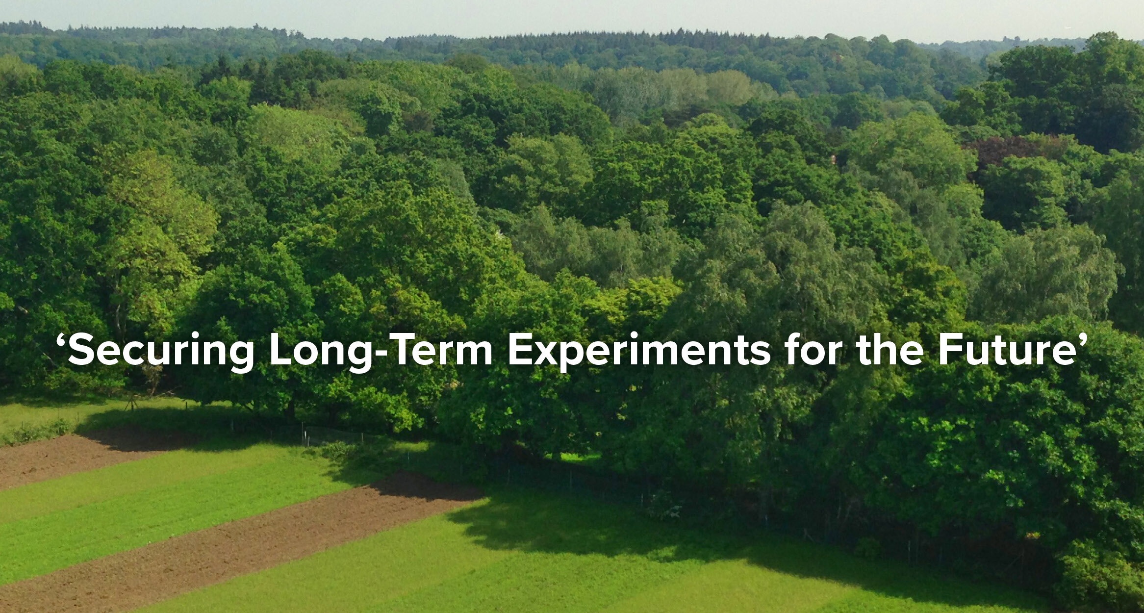 Homepage Image 5.jpg