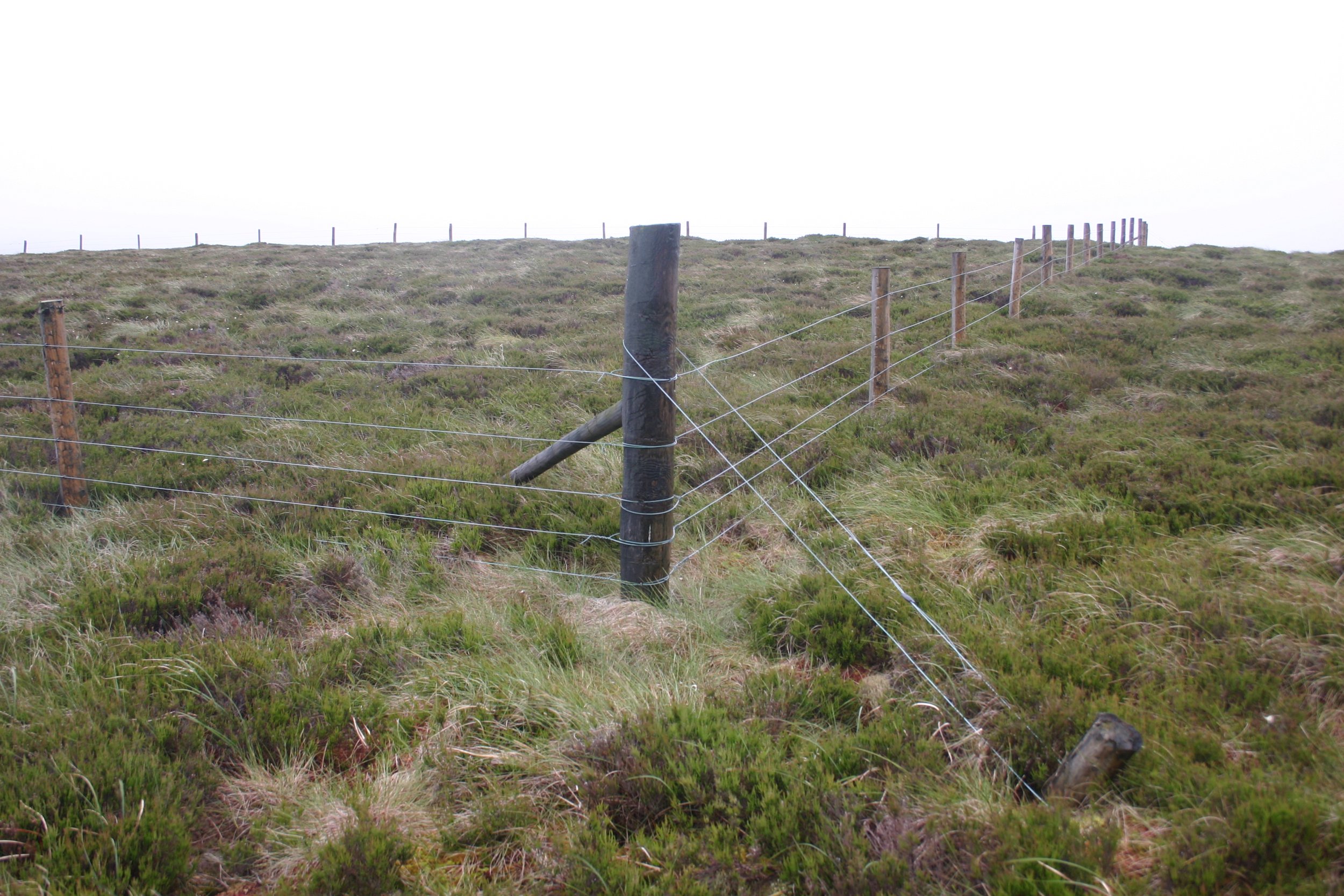 New Small Grant award