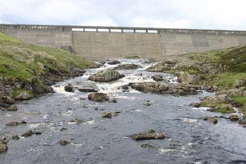 ECT article in The Niche