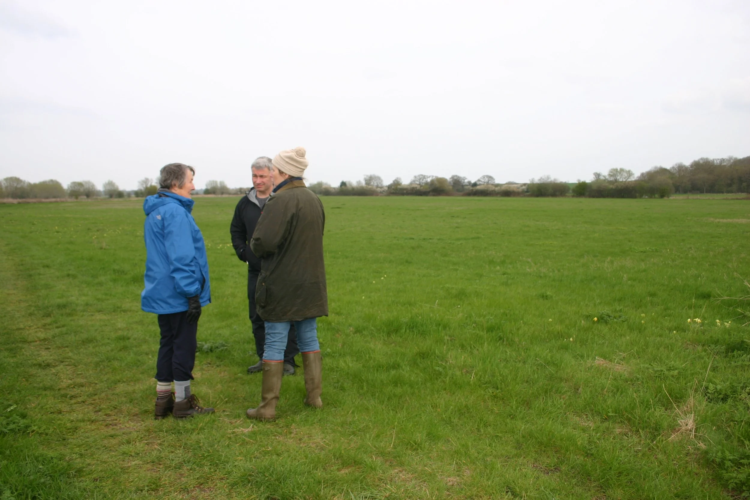 Somerford Mead dataset secured