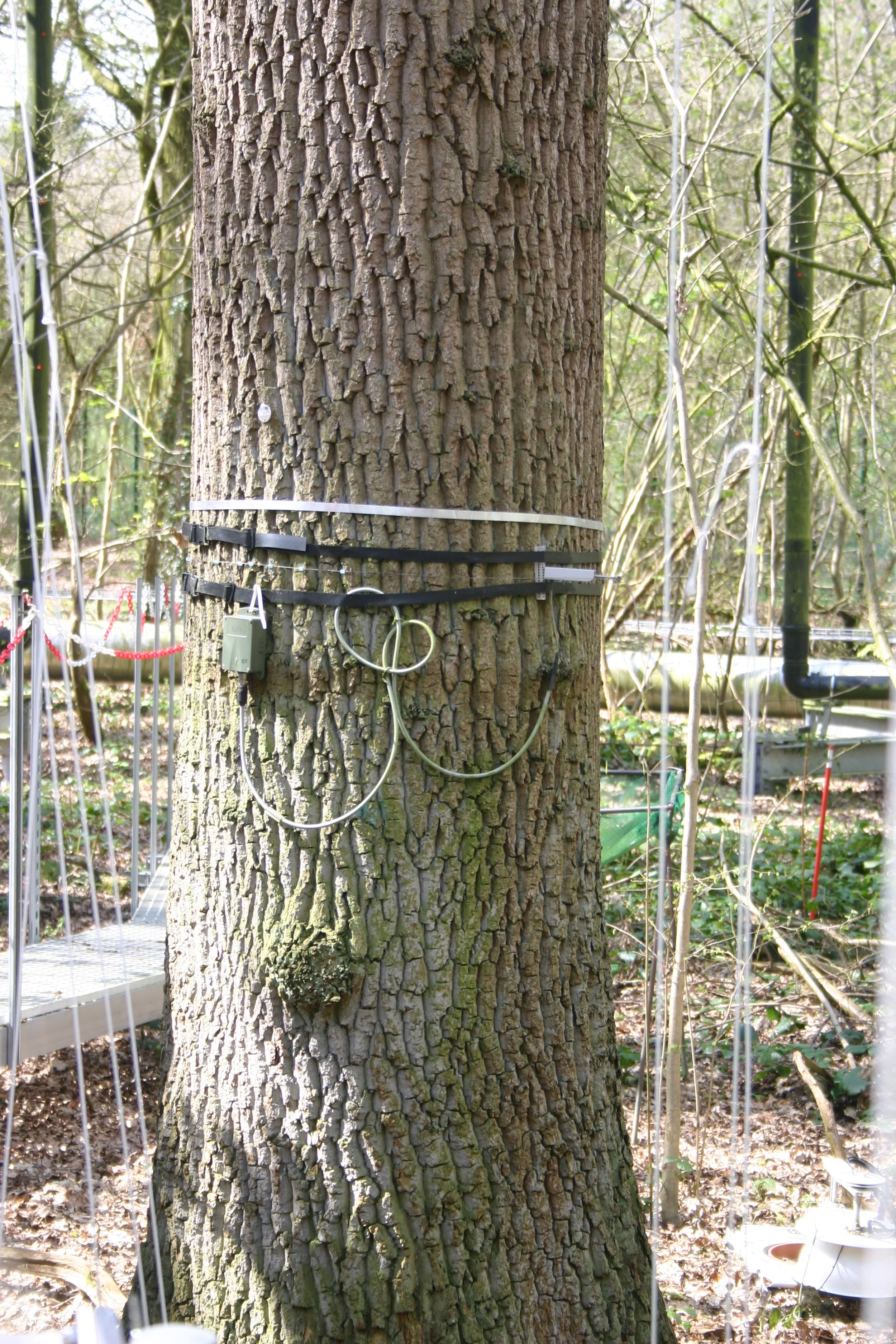 New Small Grant award