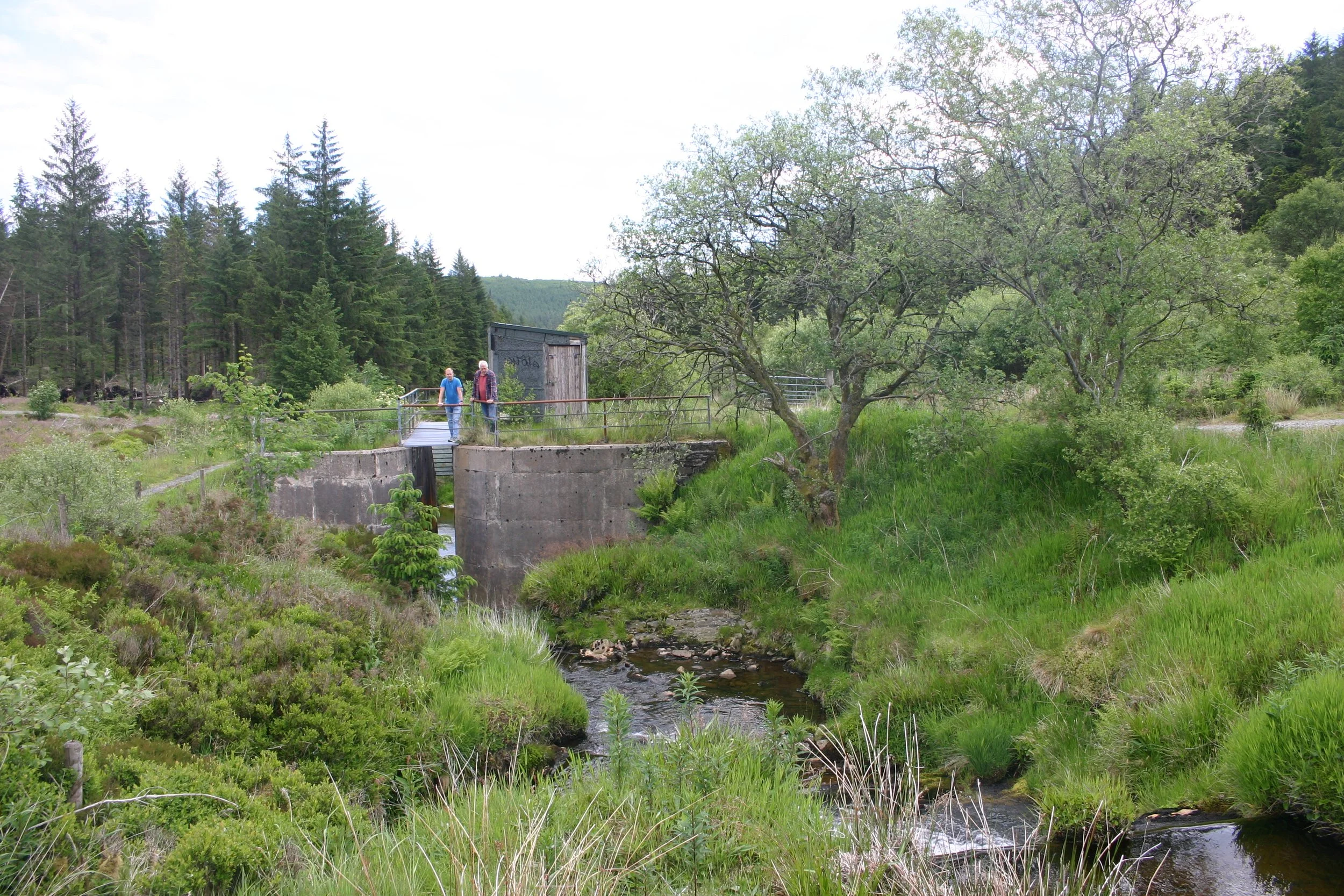 ECT article on Plynlimon Catchments LTE