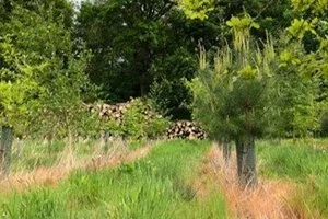 New Small Grant award