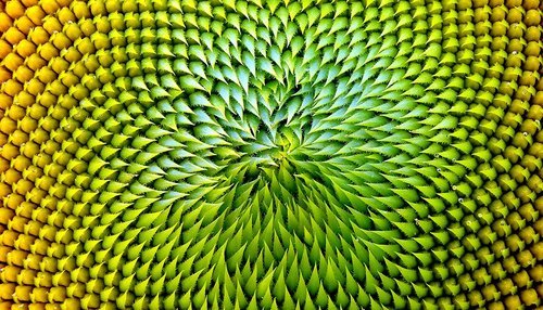 ‘Grand Challenges’ in UK Ecology