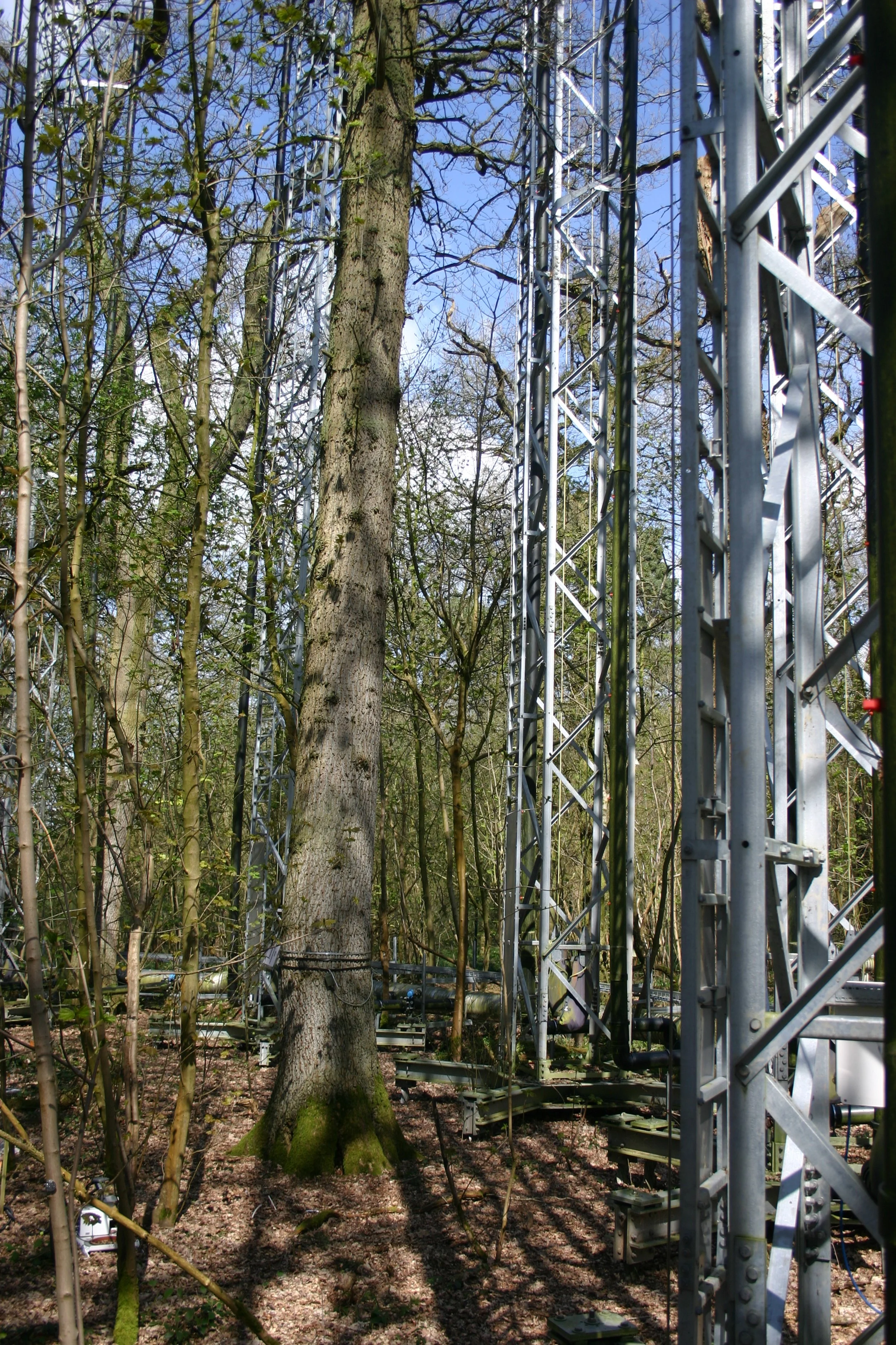 New Small Grant award