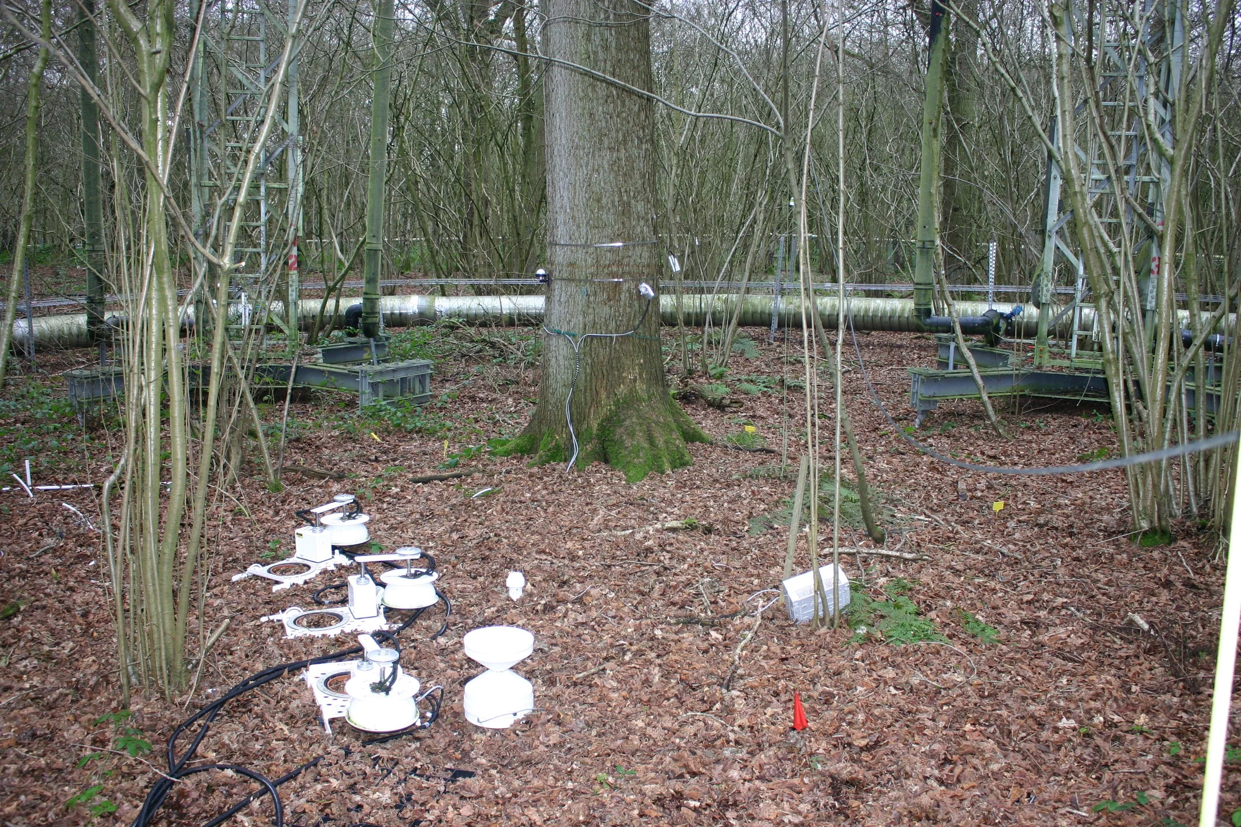 Upcoming ECT webinar