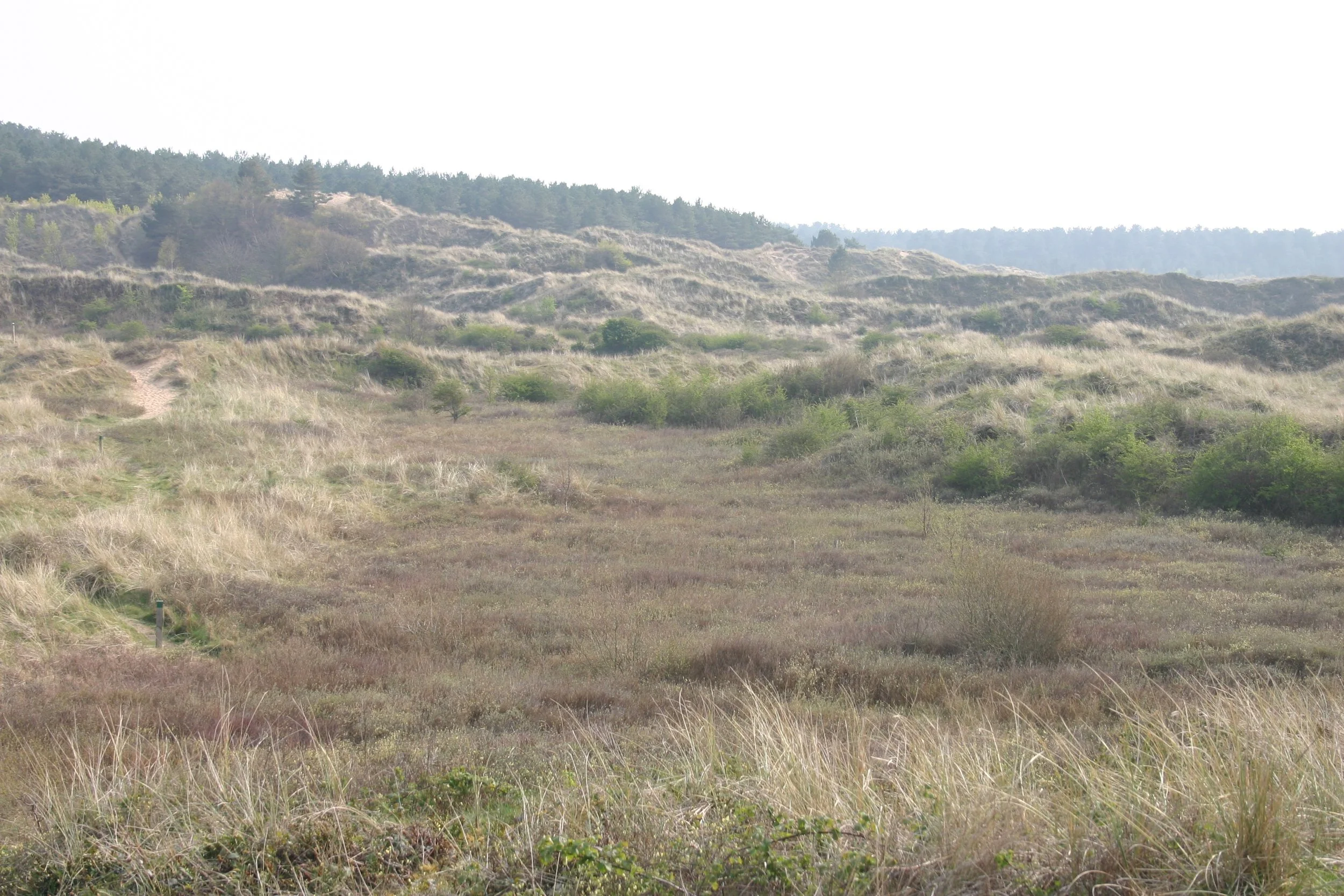 Ainsdale Dune Slacks LTE Joins ECT Network