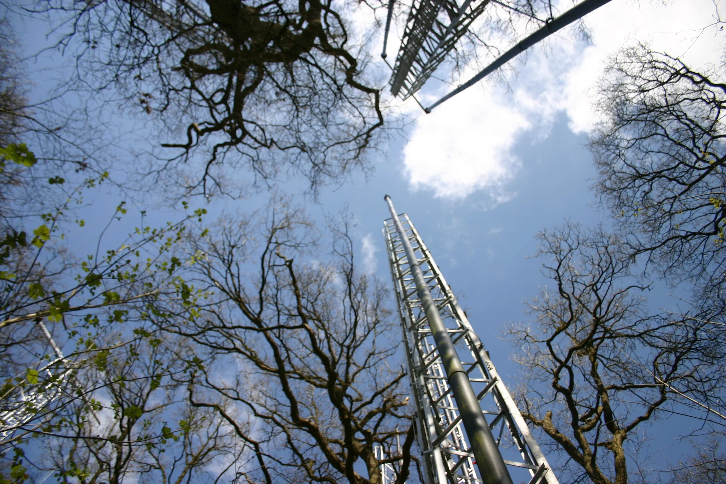 BIFOR-FACE LTE Joins ECT Network