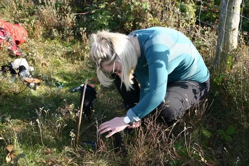 Celebrating 50 years of Ainsdale Dune Slacks LTE