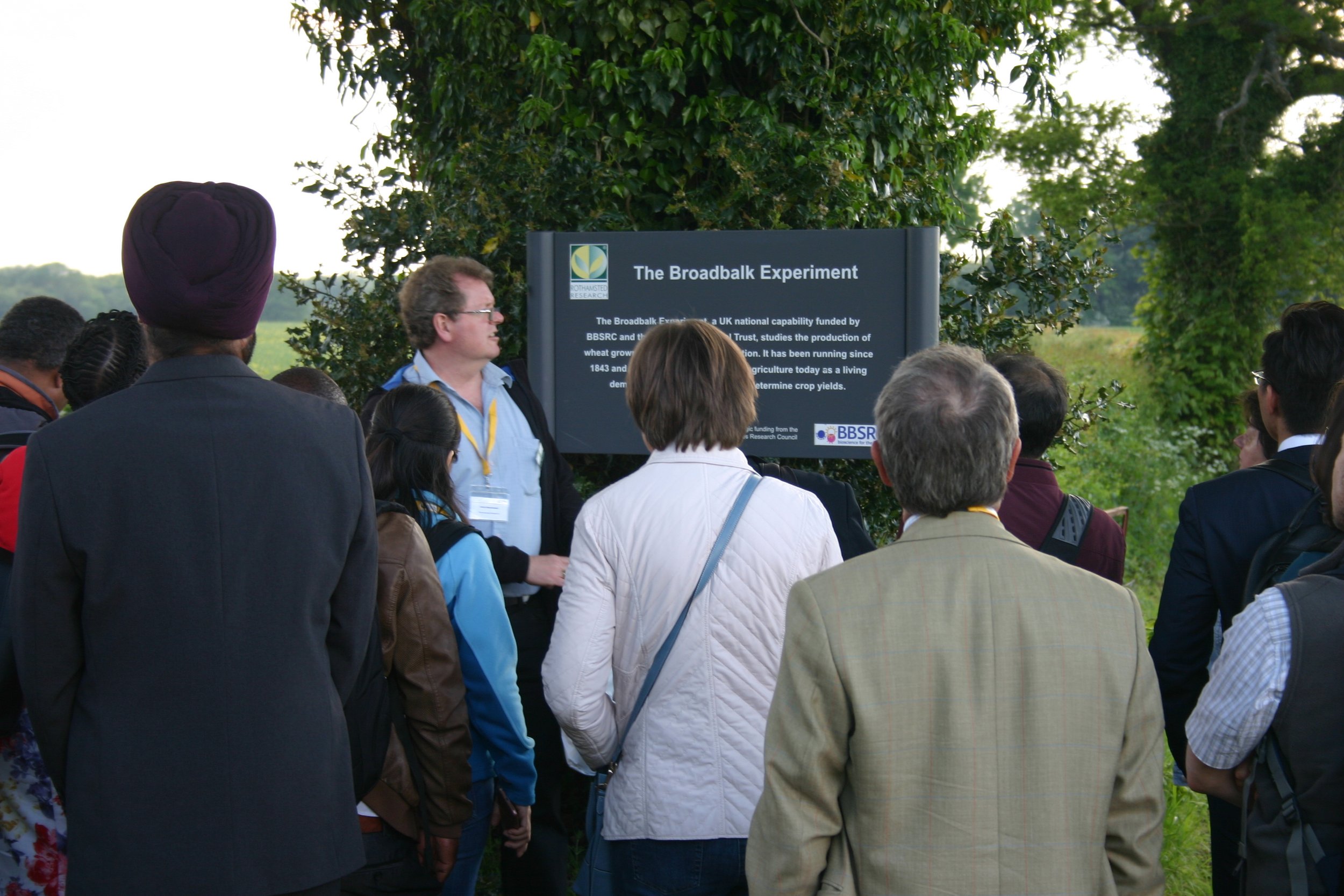 Broadbalk 19 Andy Macdonald.JPG