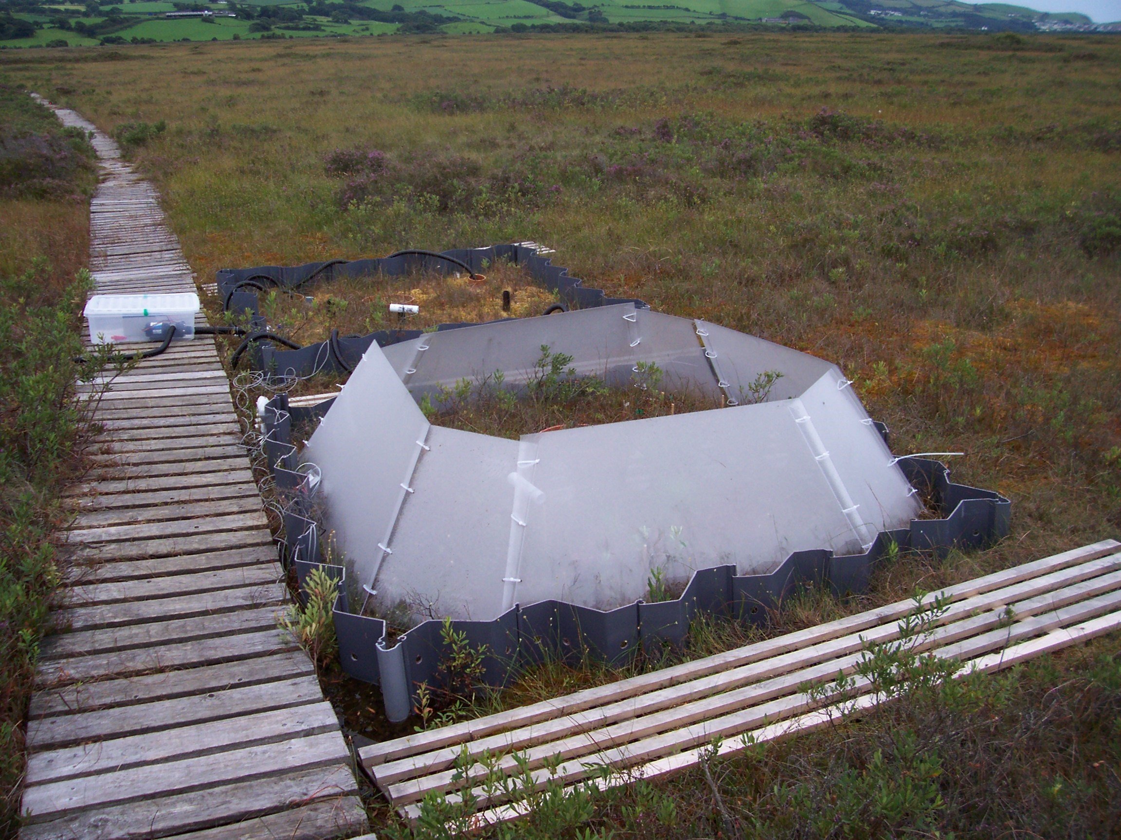 Cors Fochno.jpg