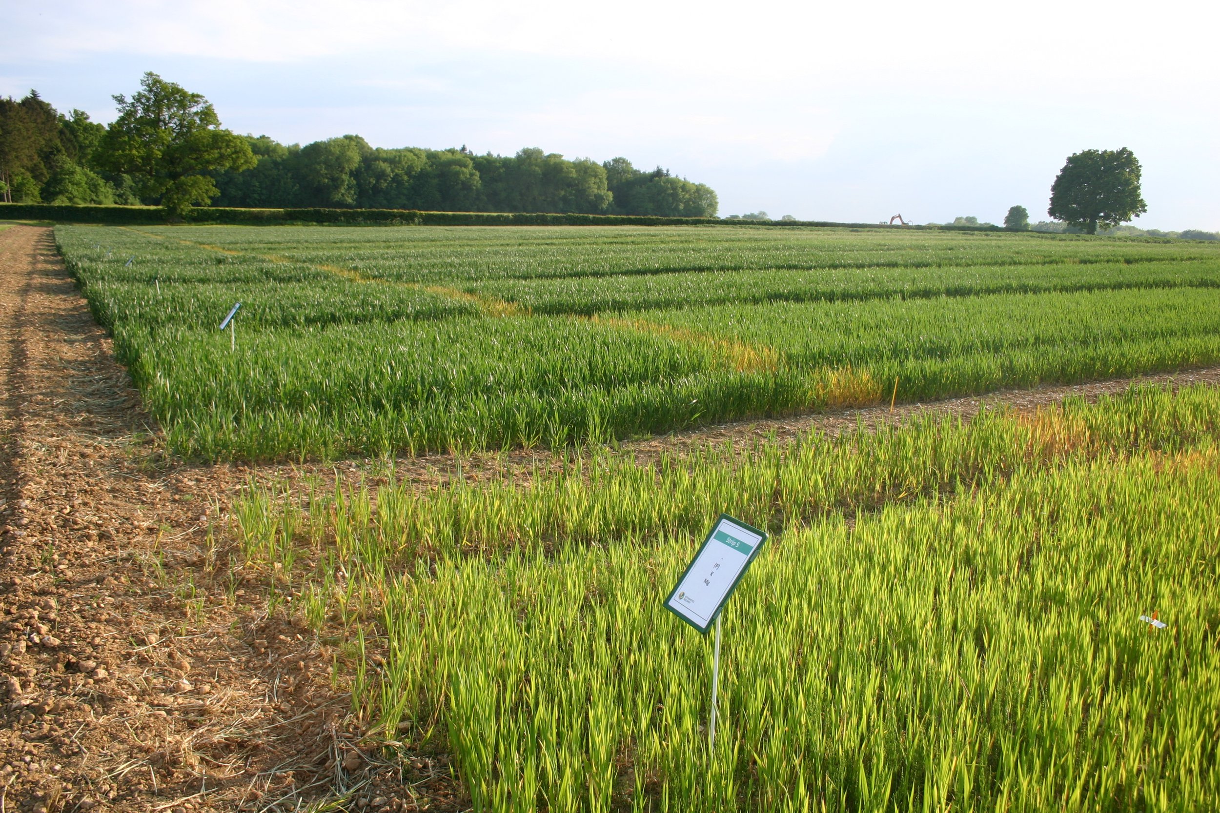 ECT Webinar: Broadbalk Long-term Rotational Experiment at 183 Years