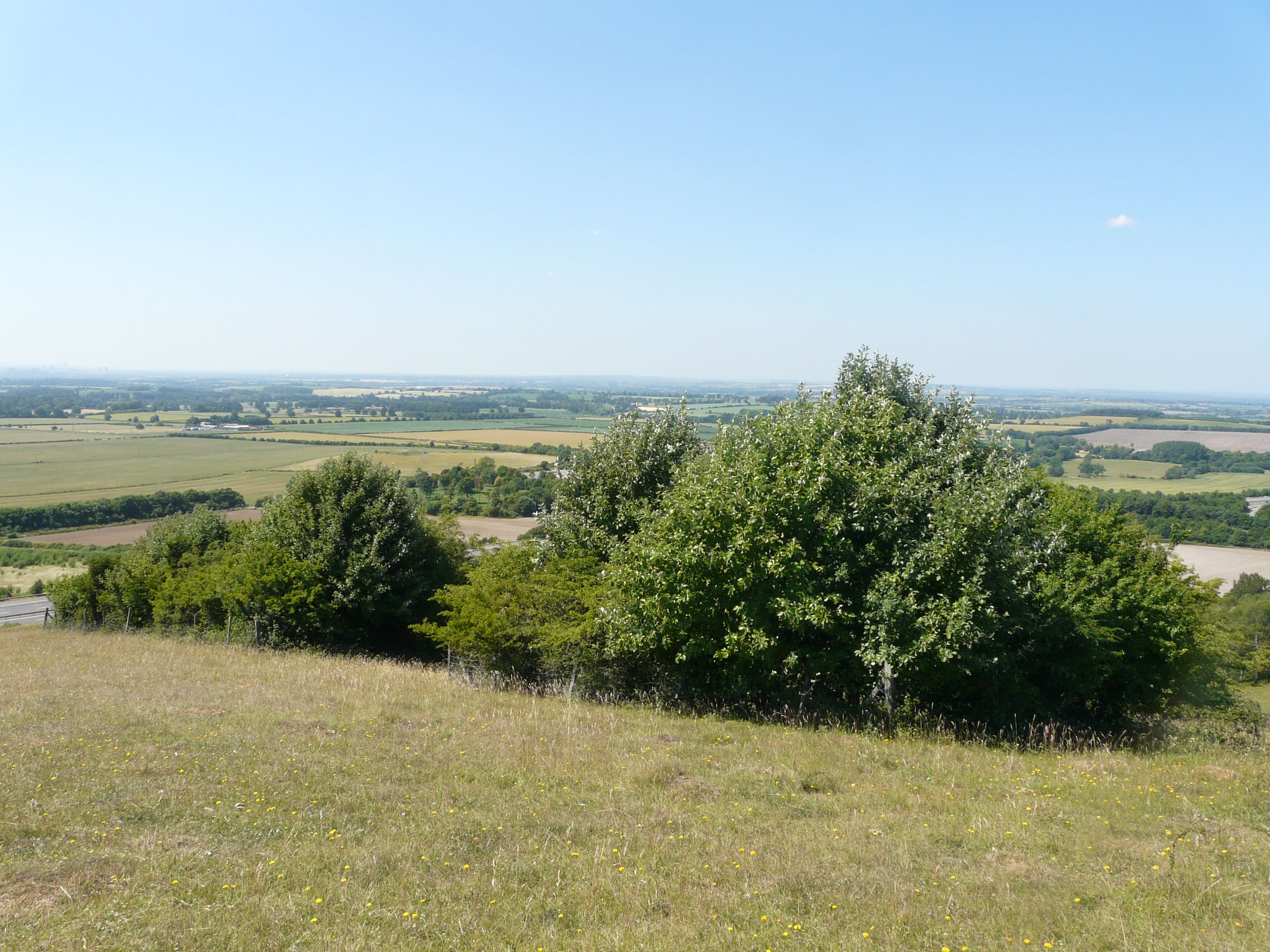 ECT Webinar: The Lena Ward Succession LTE &amp; the Value of Wider Long-term Research Aston Rowant NNR