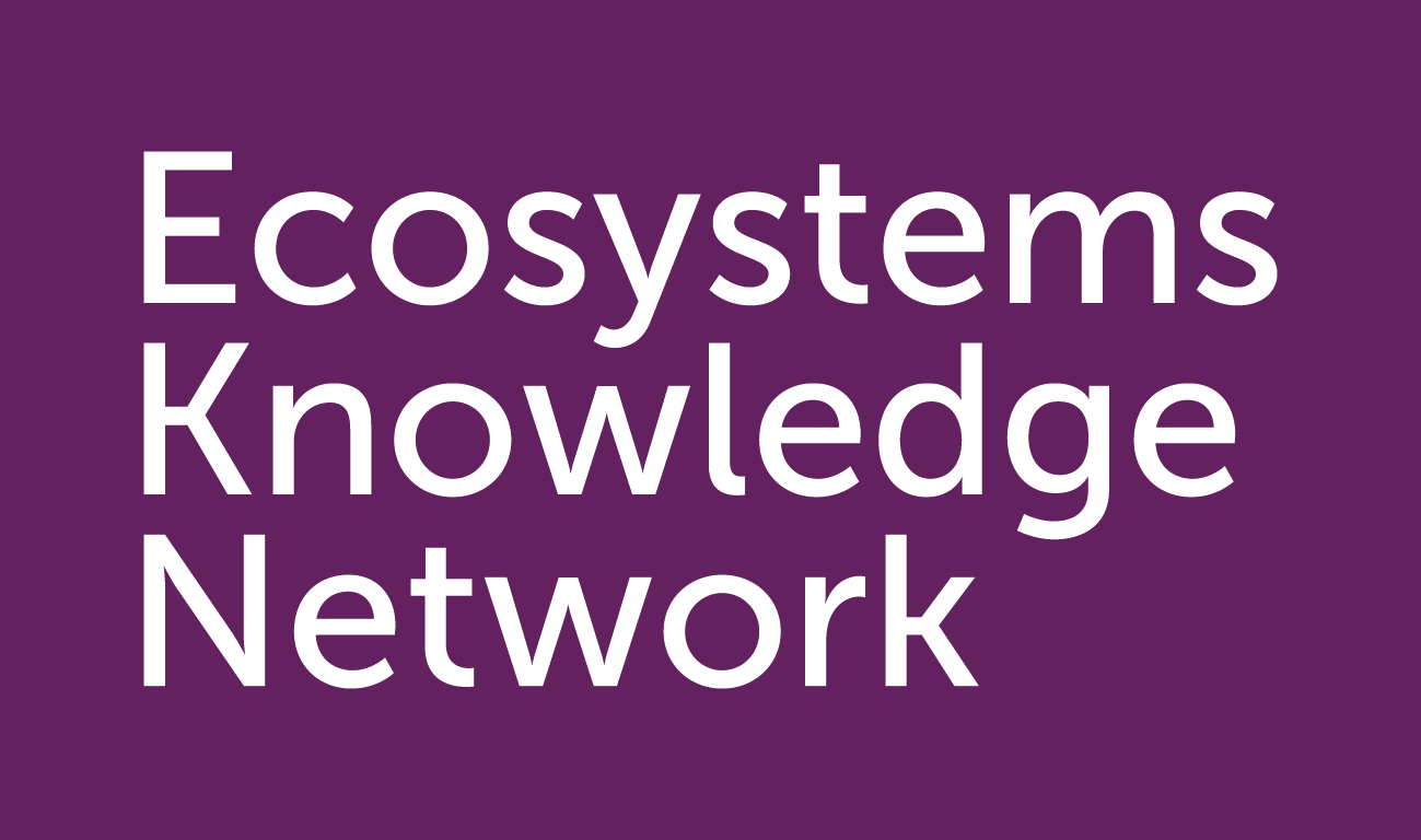 EKN-NameStyle-CMYK-v8EPS.png