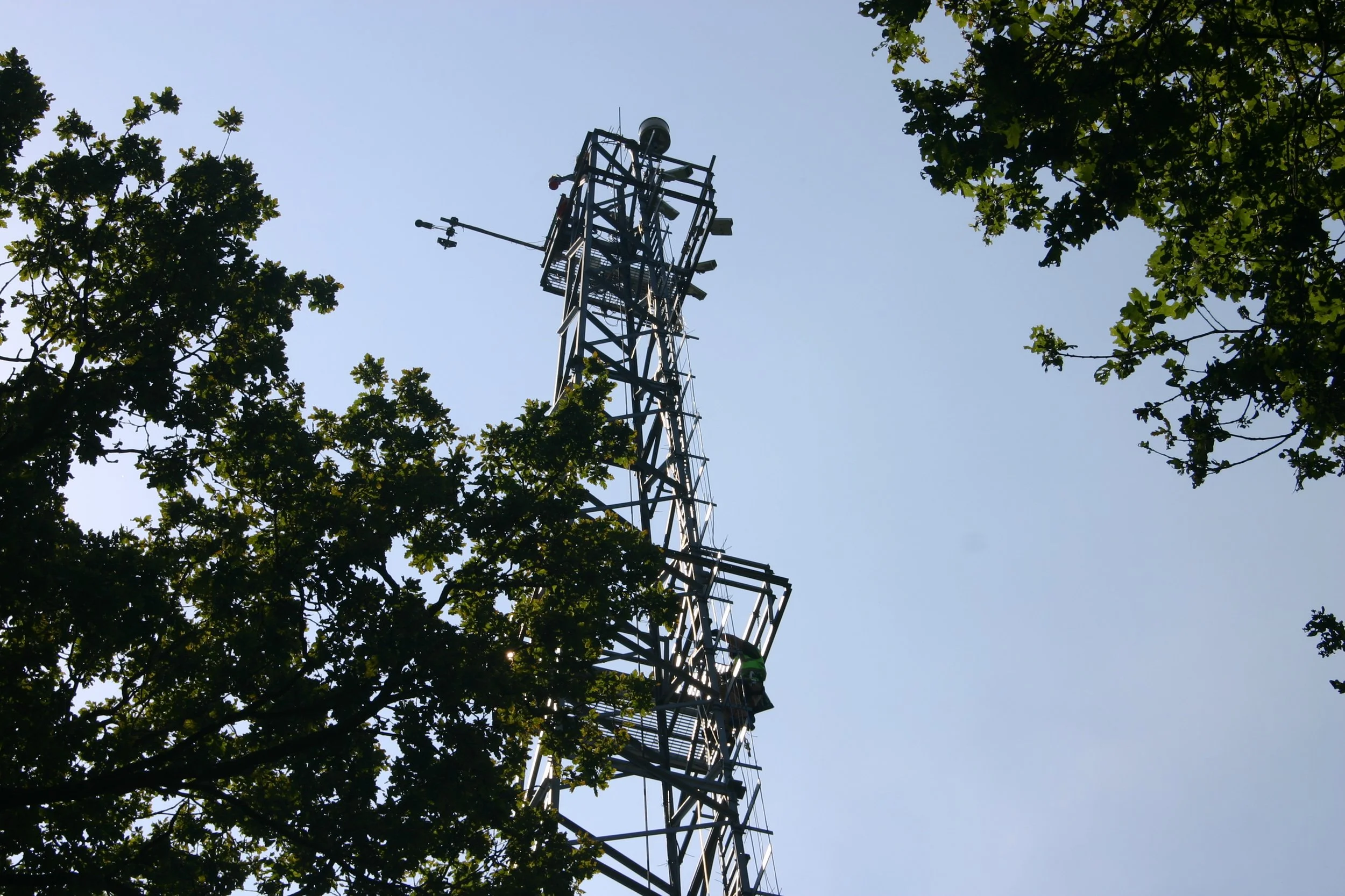 BIFoR FACE LTE VR 6.JPG