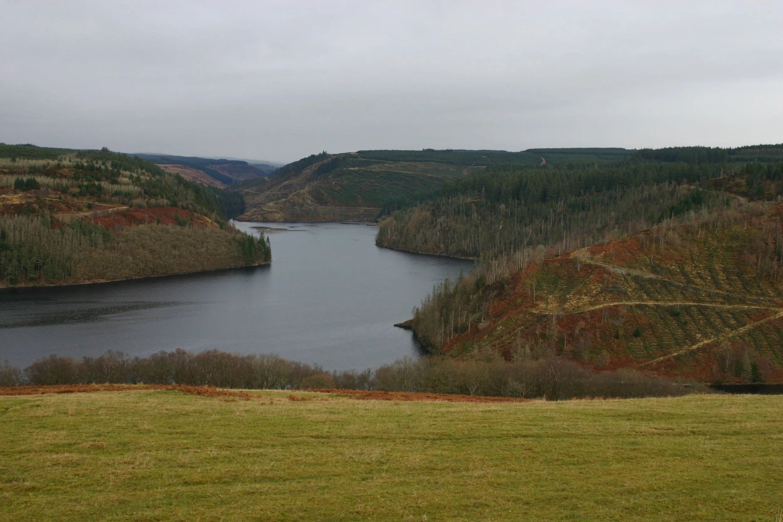 Llyn Brianne 4.JPG