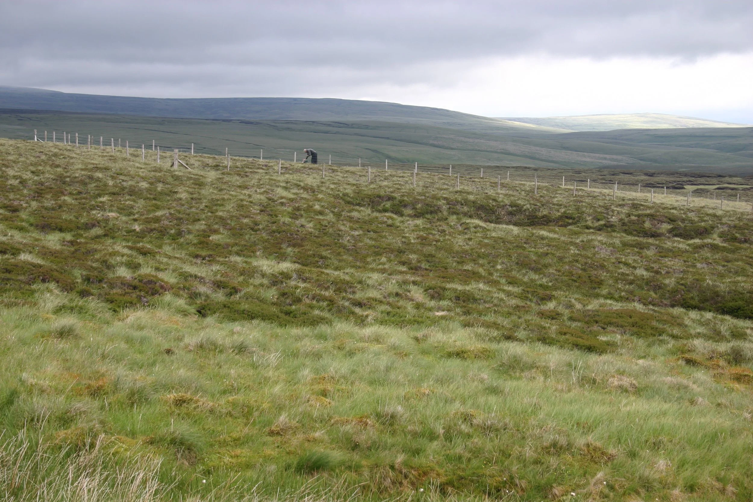 Moor House Hard Hill LTE 22.JPG