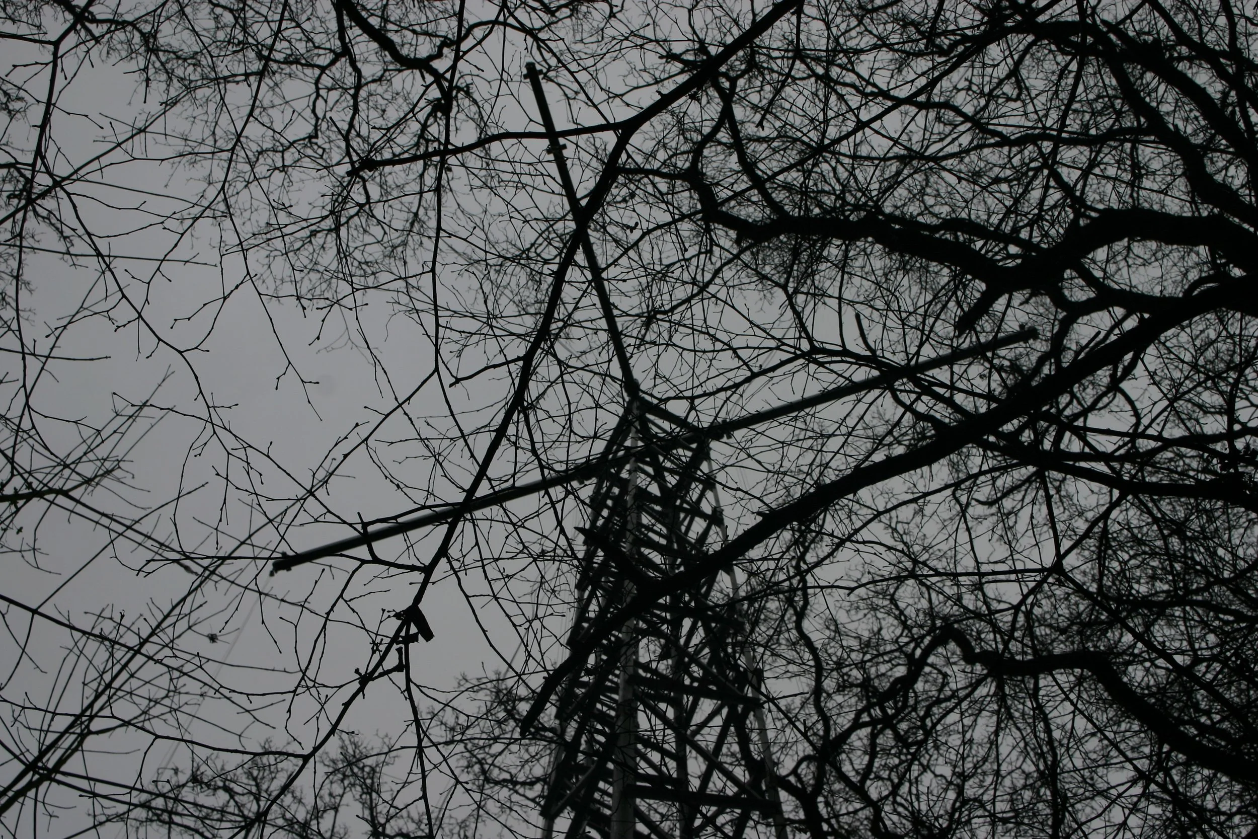 BIFoRFACE LTE 43.JPG