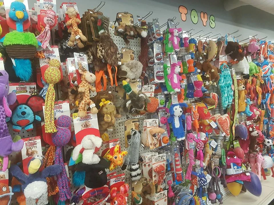 Pet Store Saskatoon — Playful Paws Saskatoon Dog Kennels & Grooming