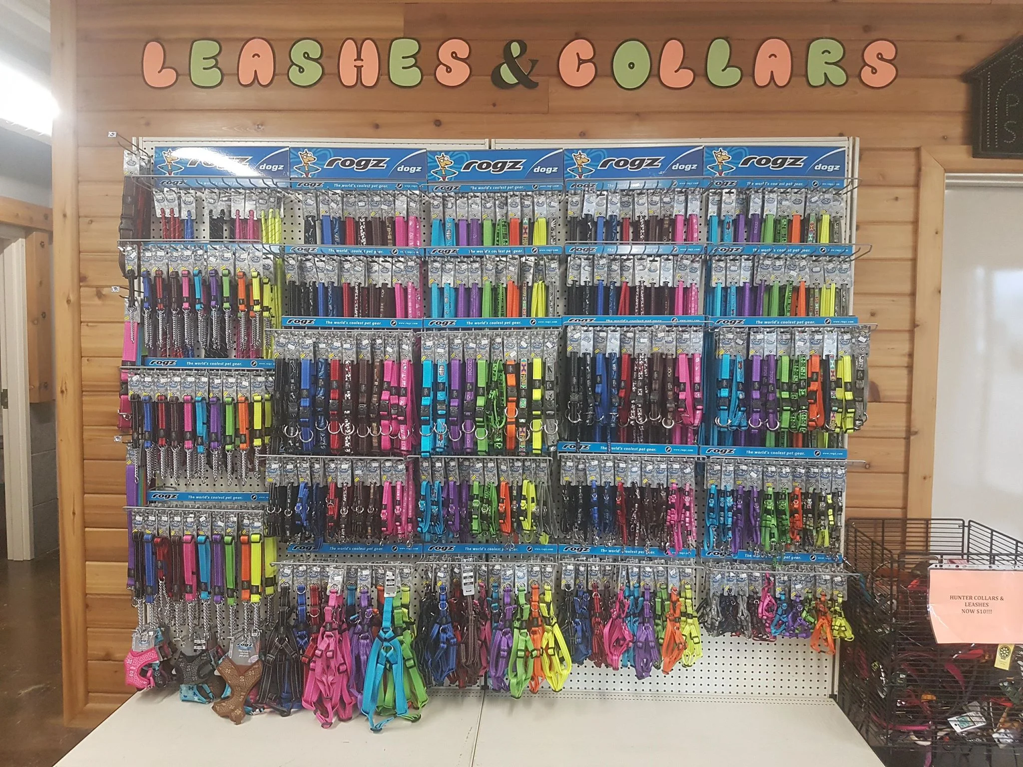 32156570_10214668279813593_6192273479874641920_n.jpg