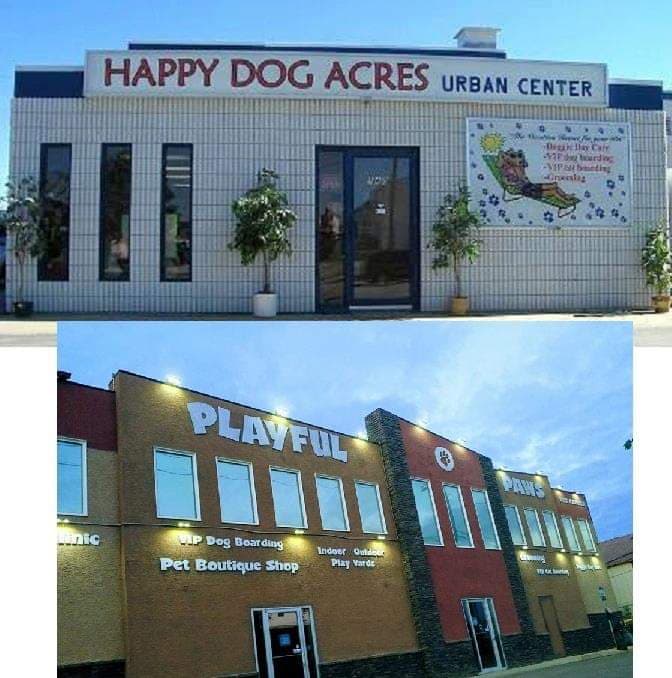 Happy Dog Acres -> renovations -> Playful Paws