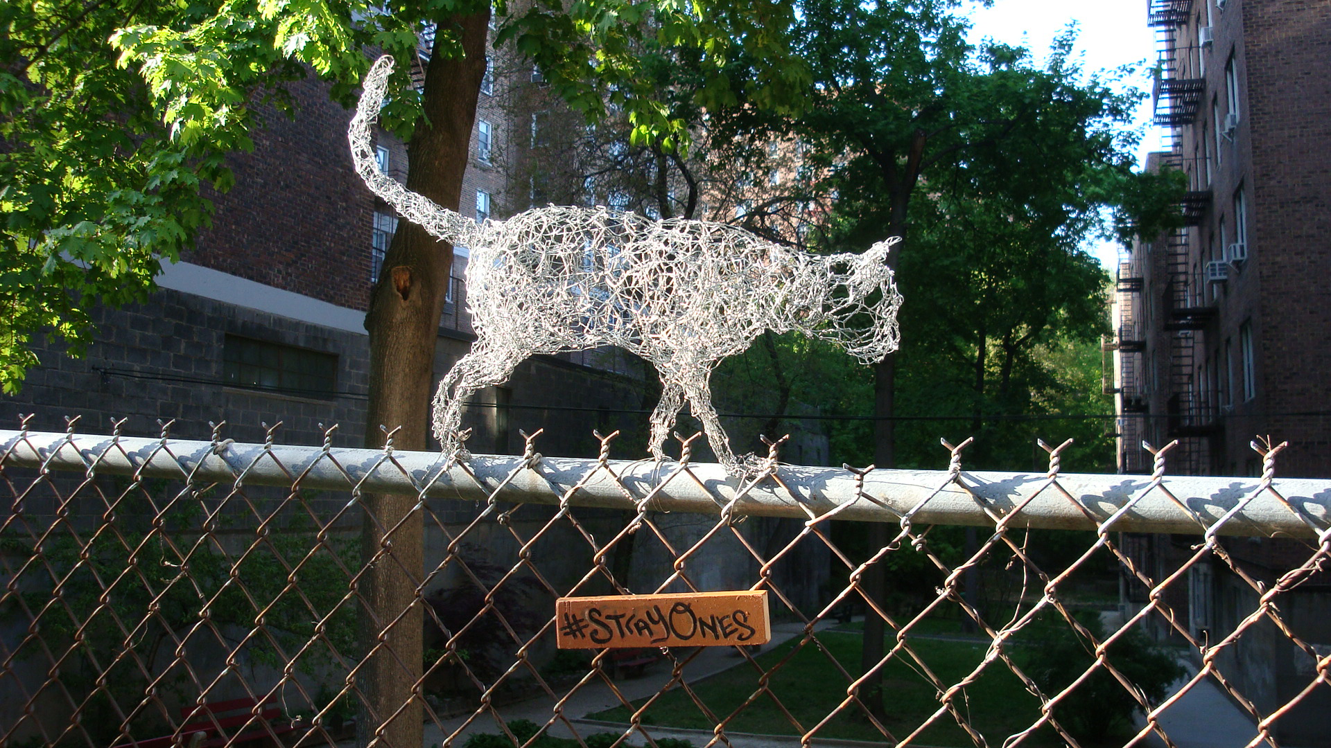StrayOnes, On The Fence