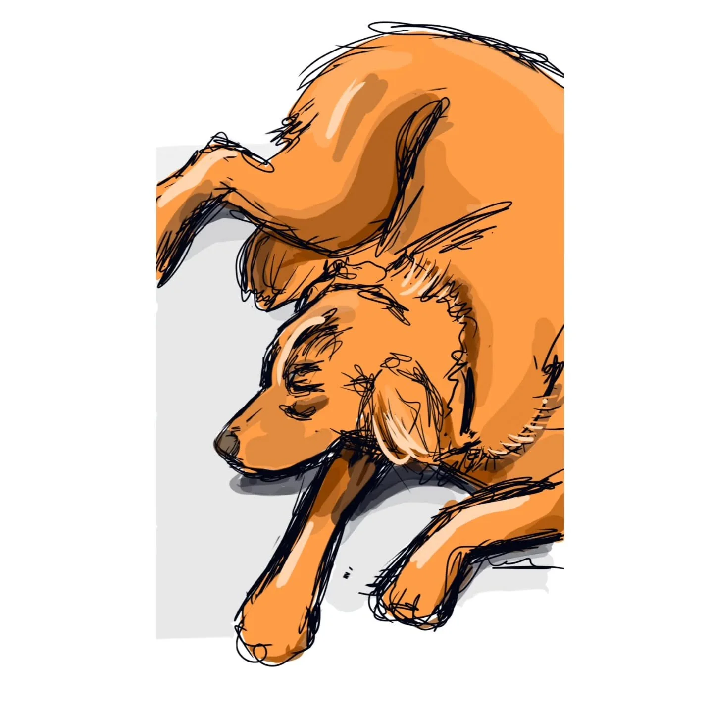 Sleepy dog
#subwaydrawing #subwaydog #goldenretriever #subway #styluspen