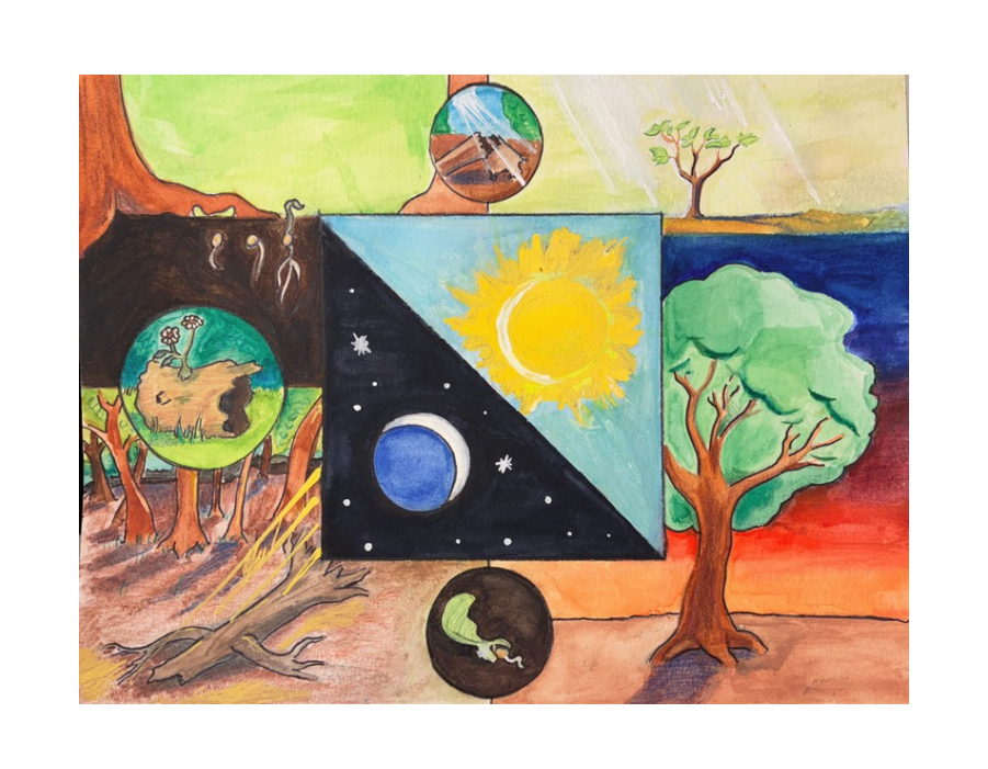 life Cycle of a Tree-Mandala-July 2025-BORDER.png
