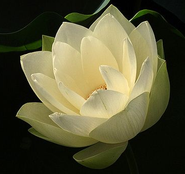 Screen Shot 2014-10-06 at 5.15.16 PM.png