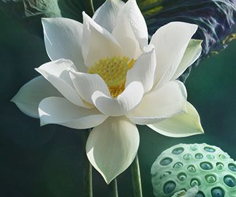 Screen Shot 2014-10-06 at 5.19.36 PM.png