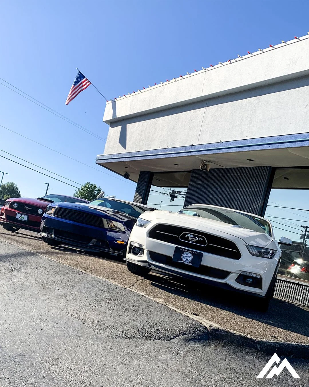 3-Mustangs-618.jpg
