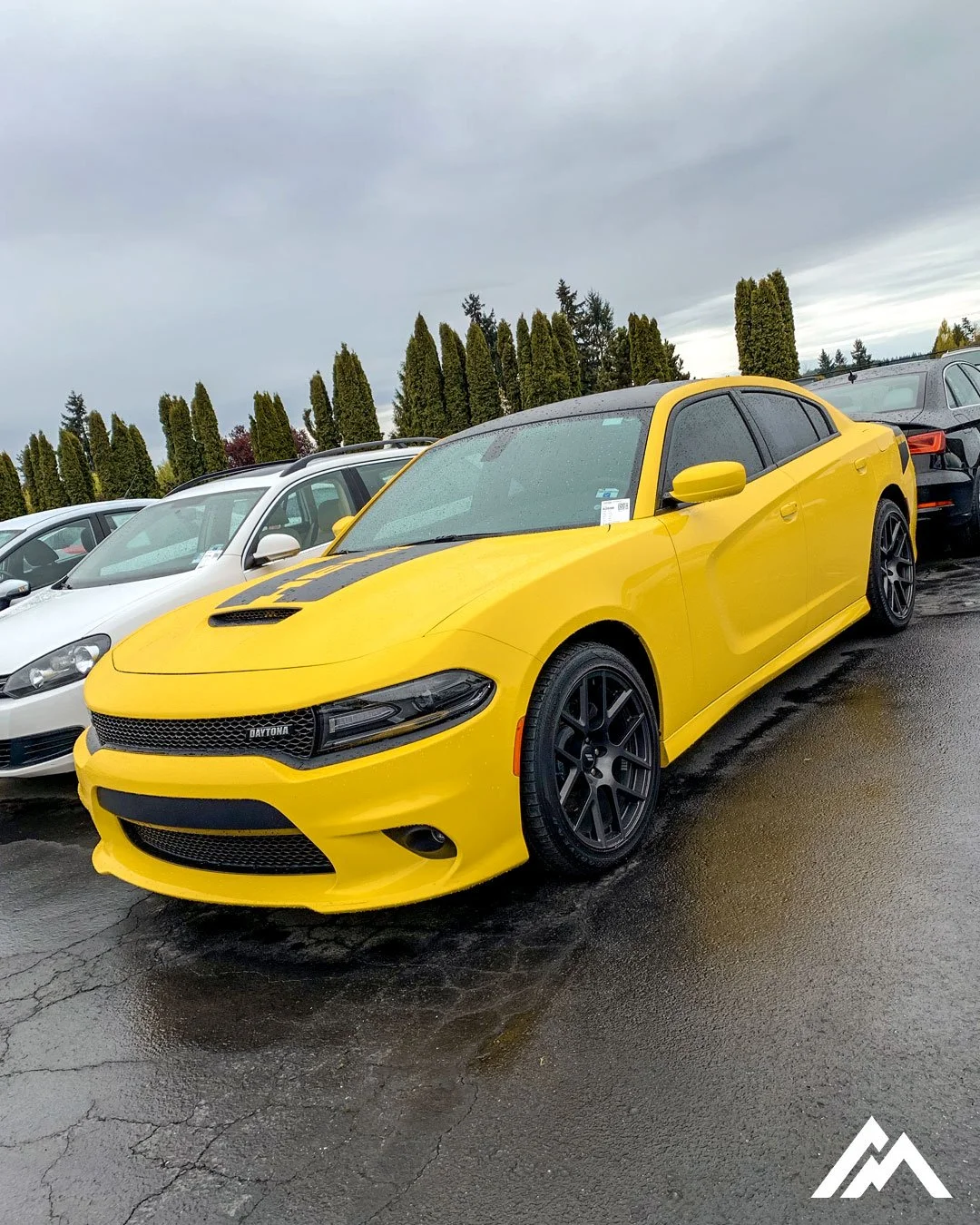 Bumble-Bee.jpg