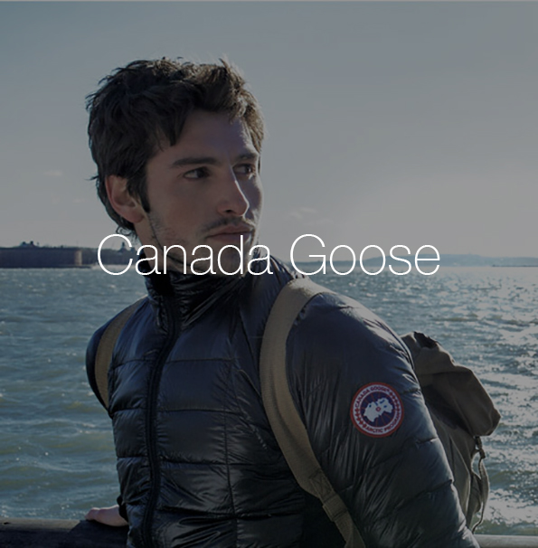 canada goose3.jpg