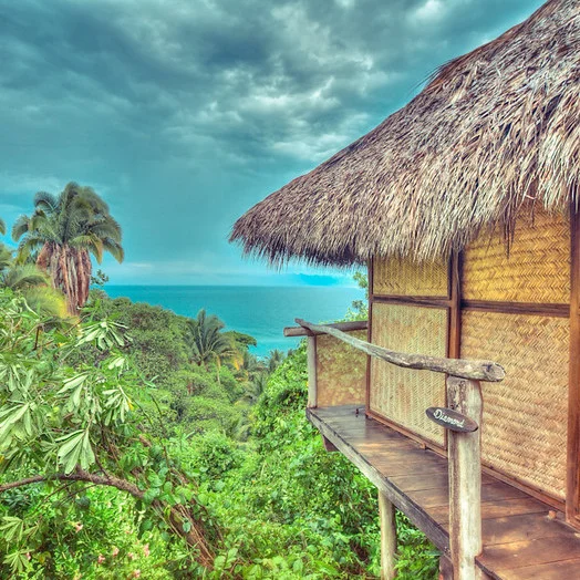 Single Cabana - Mexico 2019